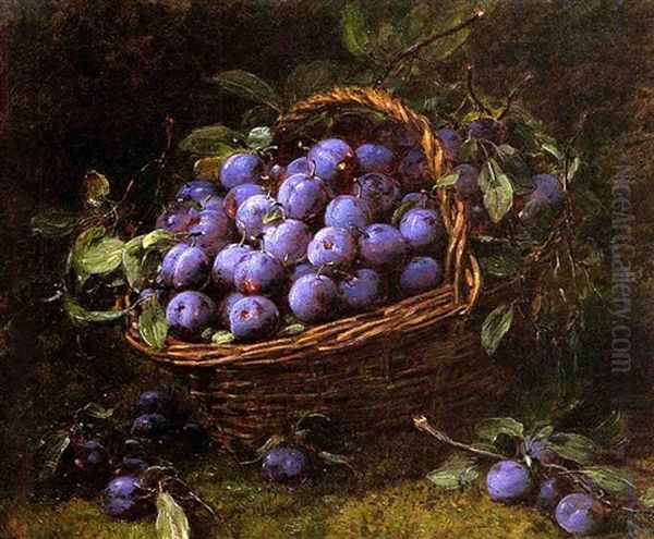 Plums In A Basket - view 1