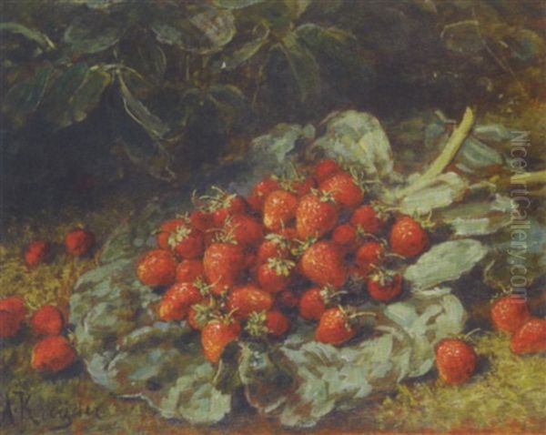 Fraises Dan Un Potager - view 1