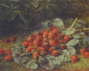 Fraises Dan Un Potager