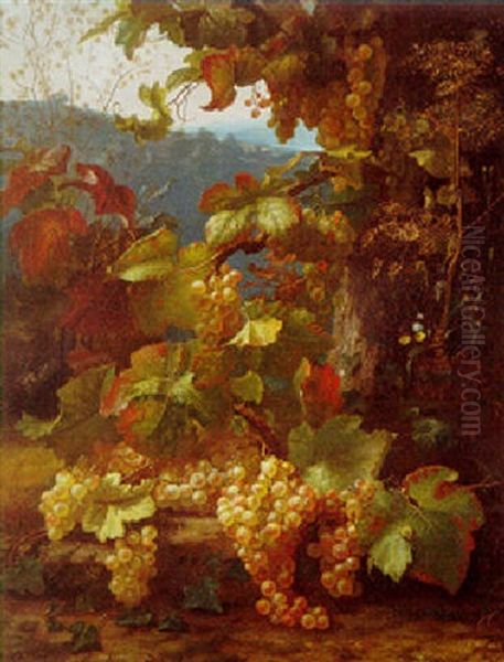 Grapes On The Vine - view 1
