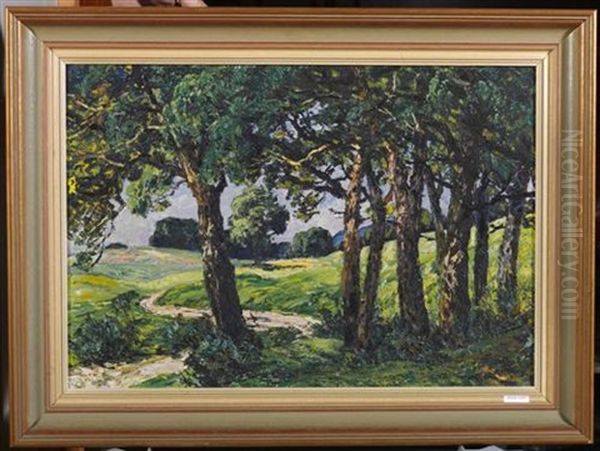 Waldweg - view 1