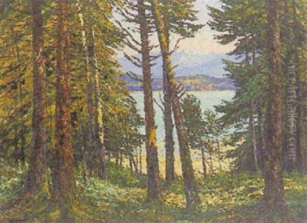 Blick Aus Dem Walde Auf Den Starnbergersee - view 1
