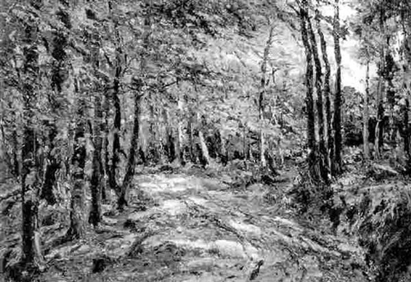 Herbstwald - view 1
