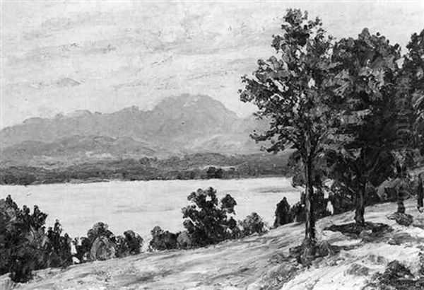 Am Starnberger See - view 1