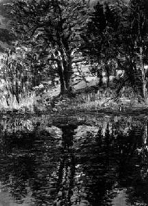 Vorfruhling Am Weiher Vorfruhling Am Weiher