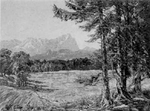 Blick Auf Die Zugspitze