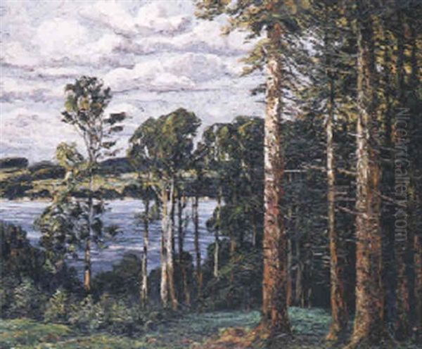 Blick Auf Den Starnberger See - view 1