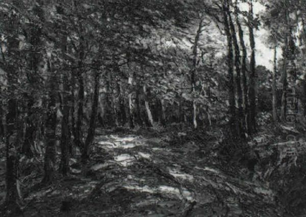 Herbstwald - view 1