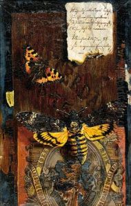 A Trompe L'oeil Still Life With A Red Admiral Butterfly by Hermann Gottlieb Kricheldorf