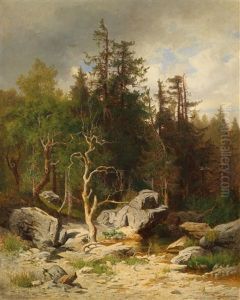 Woodland Spring