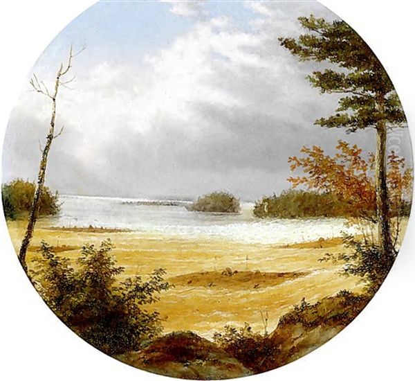 Junction Of The St. Lawrence And Ottawa River - view 1