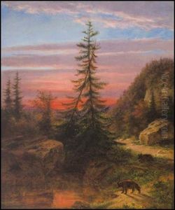 Bears Foraging At Sunset