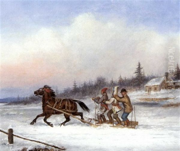 Habitants Racing In A Horsedrawn Sleigh - view 1