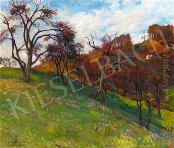 Autumn In Nagybanya (pulsatilla Field) - view 1