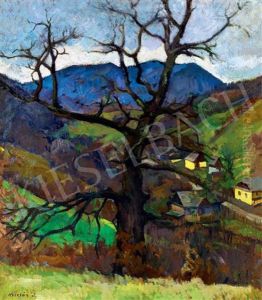 Landscape In Nagybanya by Janos Krizsan