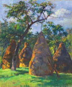 Haystacks by Janos Krizsan