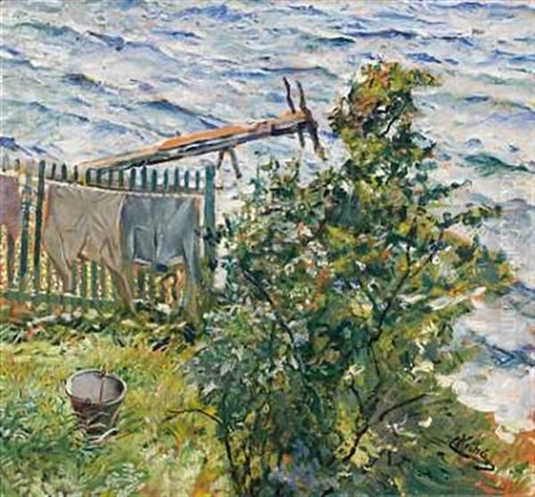 Klestork Ved Stranden - view 1