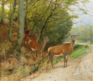 Pack Of Red Deer Crossing A Track by Christian (Johann Christian) Kroener