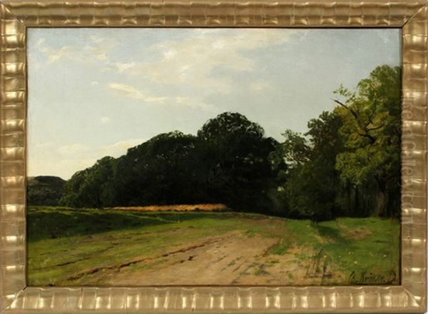 Landscape - view 1