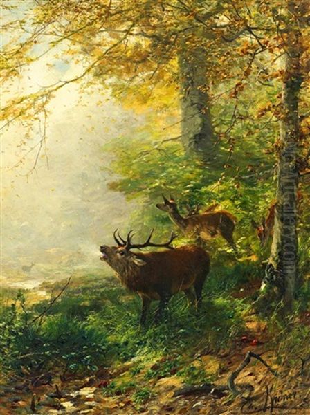 Herbstwald Mit Rotwild - view 1