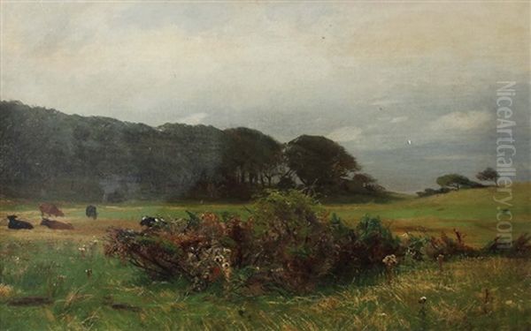 Landschaft Mit Kuhen Auf Der Weide - view 1