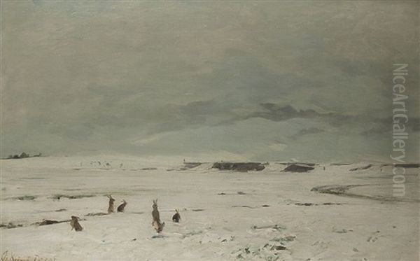 Hasen In Weiter Winterlandschaft - view 1