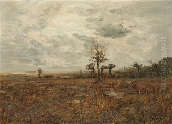 Herbstlandschaft Mit Rotwild - view 1