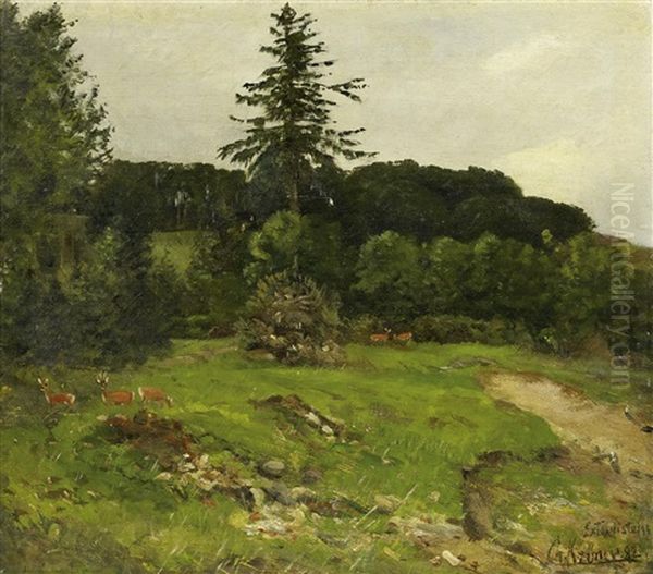Waldlichtung Mit Rotwild - view 1
