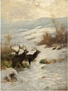 Hirsche Im Schnee