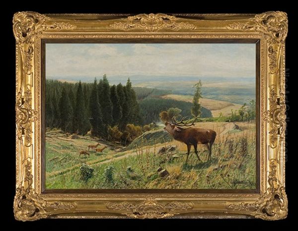 Stag On The Rut - view 1