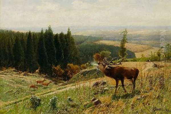Rohrender Hirsch - view 1