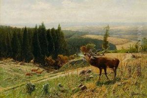 Rohrender Hirsch Rohrender Hirsch