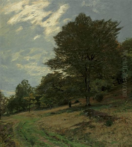Landschaft Mit Baumen An Einem Sanften Abhang - view 1