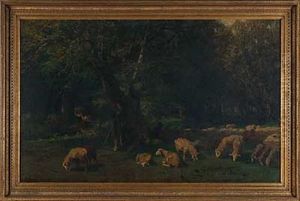 Schafer Mit Herde Im Schatten Des Waldes