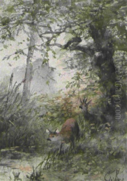 Rehe Am Bach - view 1