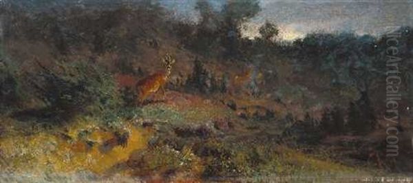 Waldlandschaft Mit Wild - view 1