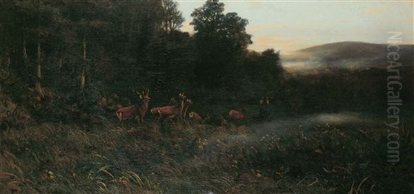 Es Taget Schon. Rotwild Am Waldrand Bei Sonnenaufgang. - view 1