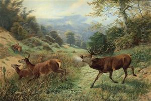 Rotwild Mit Rohrenden Hirschen In Weiter Morgenlandschaft by Christian (Johann Christian) Kroener
