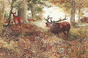 Rohrender Hirsch Im Herbstlichen Unterholz by Christian (Johann Christian) Kroener