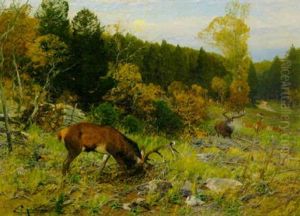Hirschbrunft Auf Einer Waldlichtung