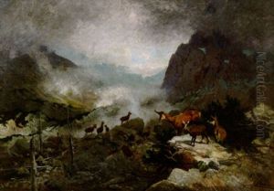 Gemsen Im Hochgebirge