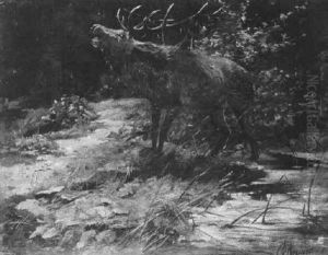 Rohrender Hirsch An Einem Weiher Im Wald