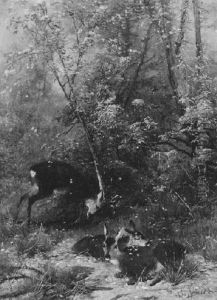 Waldinneres Mit Rehen