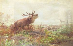 A Rutting Stag by Christian (Johann Christian) Kroener