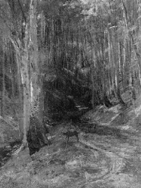 Rehe Auf Der Waldlichtung - view 1