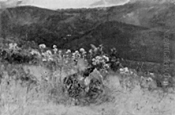 Bluhende Sommerwiese In Der Eifel - view 1