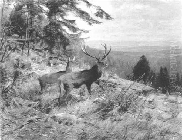 Rivalen - view 1