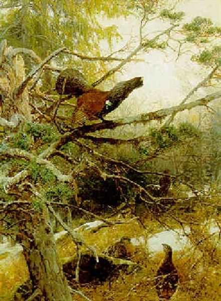 A Blackcock And A Grey Hen In A Woodland Clearing - view 1