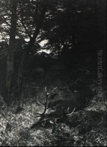 Der Geforkelte Hirsch Der Geforkelte Hirsch