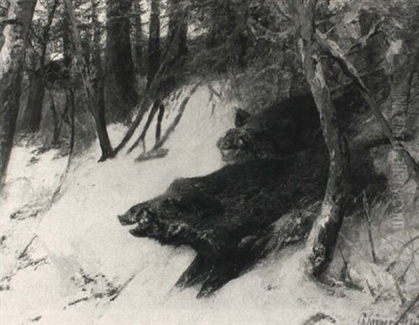 Zwei Keiler In Der Rauschzeit Im Winterwald - view 1